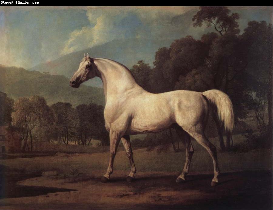 George Stubbs Mambrino